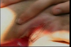 Captura de 'Hot MILFS 3' nº 111
