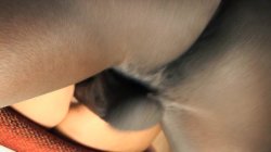 Captura de 'Smokin' Hot Chicks Love BBC' nº 27