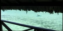 Captura de 'Seymore Butts' Tushy Tahitian Style' nº 44