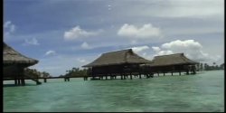 Captura de 'Seymore Butts' Tushy Tahitian Style' nº 63