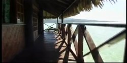 Captura de 'Seymore Butts' Tushy Tahitian Style' nº 92