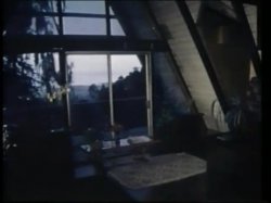 Captura de 'Classic Bitches In Heat Volume 3' nº 33
