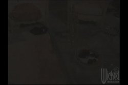 'Lost and Found' screenshot nº 52