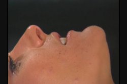 'Pussyman 11: Prime Cuts' screenshot nº 57