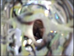Captura de 'Black Booty Cam 8' nº 29