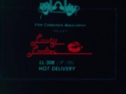 'Lusty Ladies 308 : Hot Delivery' screenshot nº 1