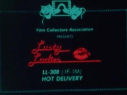 'Lusty Ladies 308 : Hot Delivery' screenshot nº 2