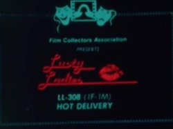 'Lusty Ladies 308 : Hot Delivery' screenshot nº 3