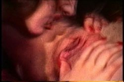 Captura de 'Lesbian Bra Busters In The 70's Vol. 2' nº 74
