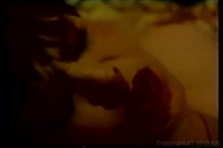 Captura de 'Lesbian Bra Busters In The 70's Vol. 2' nº 131