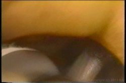 Captura de 'XXX Bra Busters In The 80's Vol. 3' nº 111