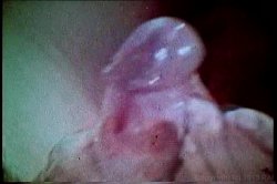 Captura de 'XXX Bra Busters In The 70's Vol. 2' nº 30