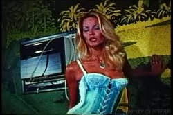 Captura de 'XXX Bra Busters In The 70's Vol. 2' nº 36