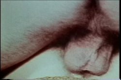Captura de 'XXX Bra Busters In The 70's Vol. 2' nº 48