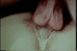 Captura de 'XXX Bra Busters In The 70's Vol. 2' nº 50