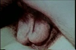 Captura de 'XXX Bra Busters In The 70's Vol. 2' nº 51