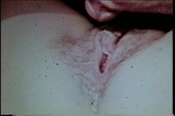 Captura de 'XXX Bra Busters In The 70's Vol. 2' nº 53