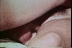 Captura de 'XXX Bra Busters In The 70's Vol. 2' nº 61