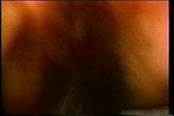 Captura de 'XXX Bra Busters In The 70's Vol. 2' nº 85