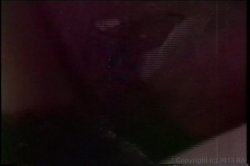 Captura de 'XXX Bra Busters In The 70's Vol. 2' nº 15