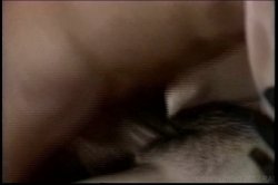 Captura de 'Return of Teenage Christy Canyon, The' nº 136