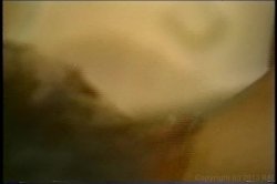 Captura de 'Jeannie Pepper Collection' nº 70