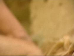 Captura de 'Anal Introductions' nº 104