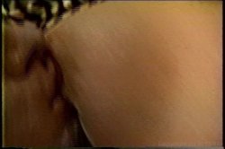 Captura de 'Busty Belle Bounces Back' nº 27