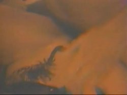 Captura de 'Penetration of Elle Rio' nº 65