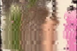 'Ass Play 2' screenshot nº 60