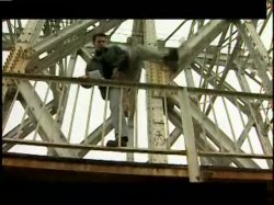 'XXX no. 10' screenshot nº 96