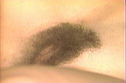 'Seduction of Tracy Adams' screenshot nº 25
