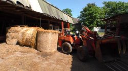 'Geiler Sommerurlaub Auf Dem Bauernhof 2' screenshot nº 3
