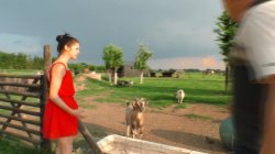 'Geiler Sommerurlaub Auf Dem Bauernhof 2' screenshot nº 32