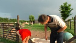'Geiler Sommerurlaub Auf Dem Bauernhof 2' screenshot nº 33