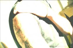 'Dana DeArmond's Role Modeling' screenshot nº 71