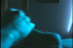 Captura de 'We Like To Watch... Young Girls' nº 28