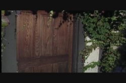 'Ass Ventura Crack Detective' screenshot nº 40