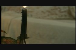 Captura de 'Savage Garden' nº 4