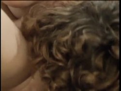 Captura de '1001 Erotic Nights 2' nº 61