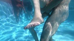'Trans Pool Party 2' screenshot nº 69