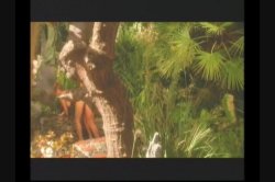 'Banzai Babes' screenshot nº 116