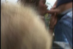 'Gangland White Boy Stomp 11' screenshot nº 40