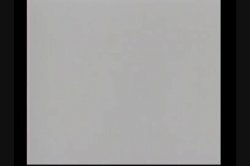 'Crazy About Asians 2' screenshot nº 70