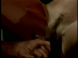 Captura de 'Bareback Vivid' nº 52