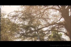 'Possession' screenshot nº 6
