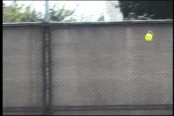 'Booty Talk 17' screenshot nº 63