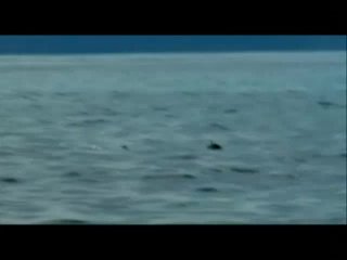 Scene 3