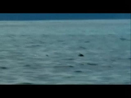 Scene 3