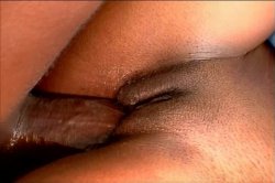 'Fat Black Pussy's' screenshot nº 138